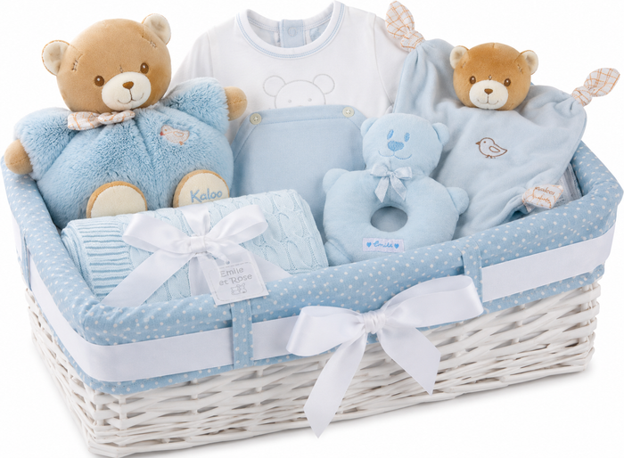 Baby Boy New Arrival Gift Basket