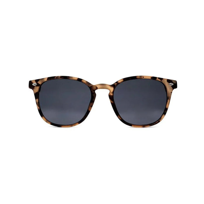Bowie Polarised Sunglasses - Polarised Sunglasses - Passport Eyewear