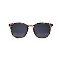 Bowie Polarised Sunglasses - Polarised Sunglasses - Passport Eyewear