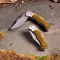 Damascus Blade & Horn Folding Clip Knife