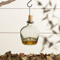 Glass wasp traps