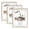 Elegant Deluxe Polar Birch 16x20/12x16in Set of Frames (Bulk Frame Bundle 3 Pack) from our Australian Made Picture Frames collection by Profile Products (Australia) Pty Ltd