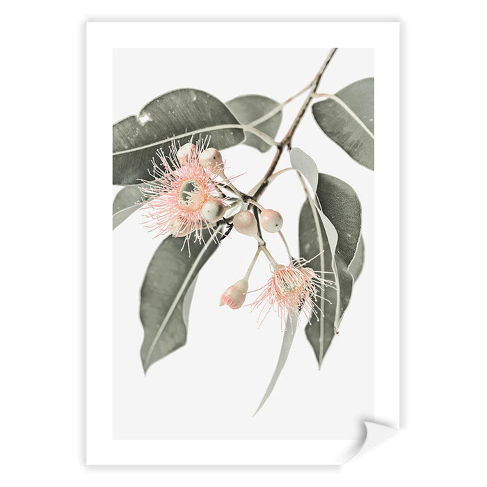 Eucalyptus Wildflowers Wall Art Print A4 (21 x 29.7cm) / Print Only / White Border from our Australian Made Framed Wall Art, Prints & Posters collection by Profile Australia
