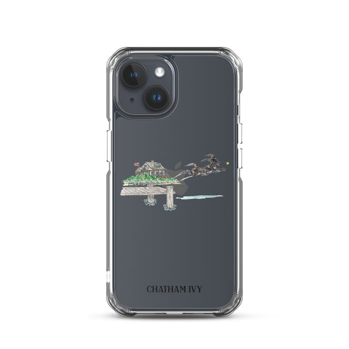 iPhone 15