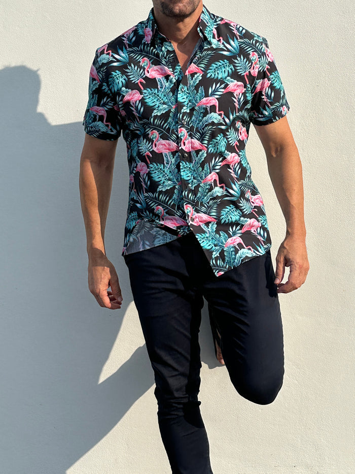 Flamingos on Cotton - Flamingos