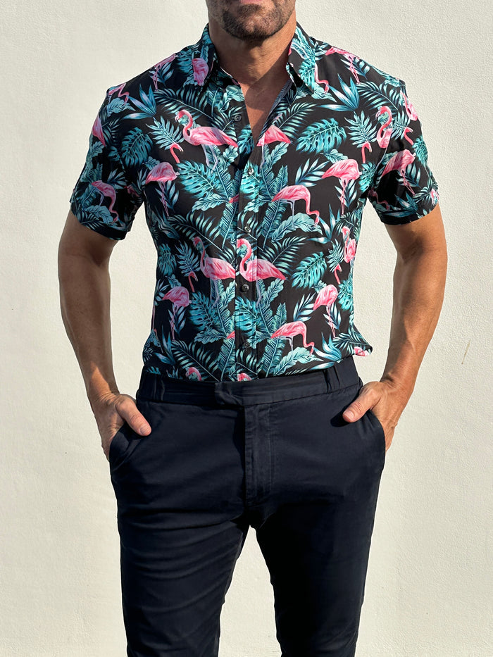 Flamingos on Cotton - Flamingos