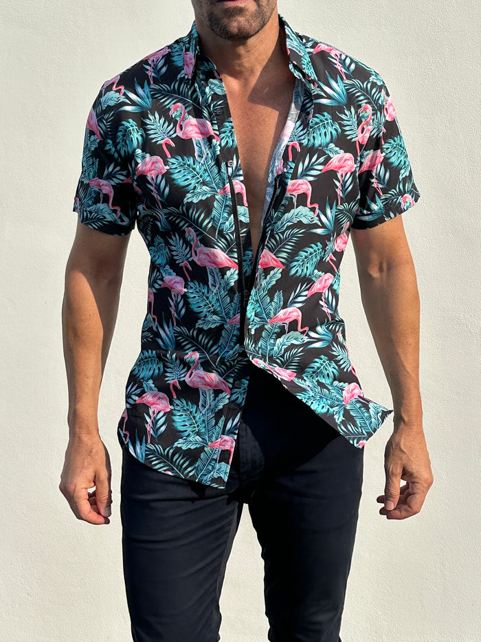 Flamingos on Cotton - Flamingos
