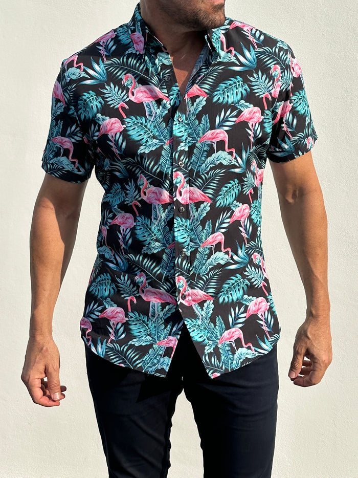 Flamingos on Cotton - Flamingos