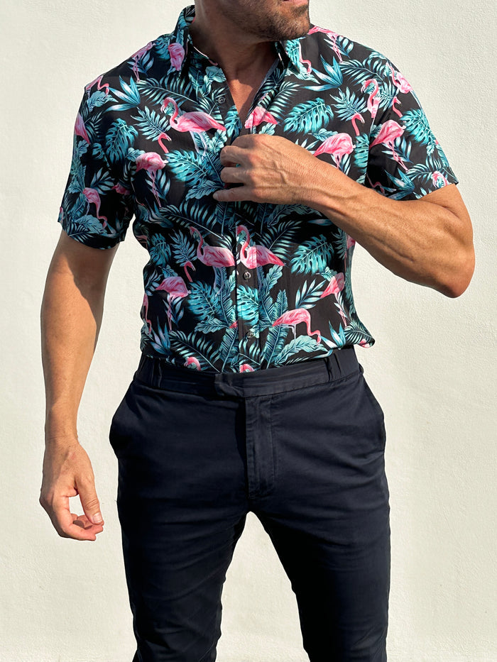 Flamingos on Cotton - Flamingos