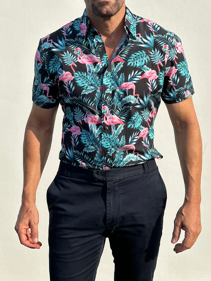 Flamingos on Cotton - Flamingos