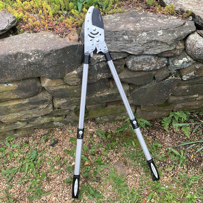 Heavy Duty Anvil Lopper