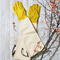 Heavy-Duty Bramble Gloves With Integrated Arm Guards - Medium