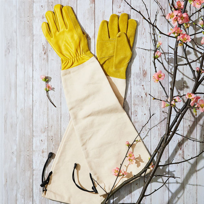 Heavy-Duty Bramble Gloves With Integrated Arm Guards - Medium