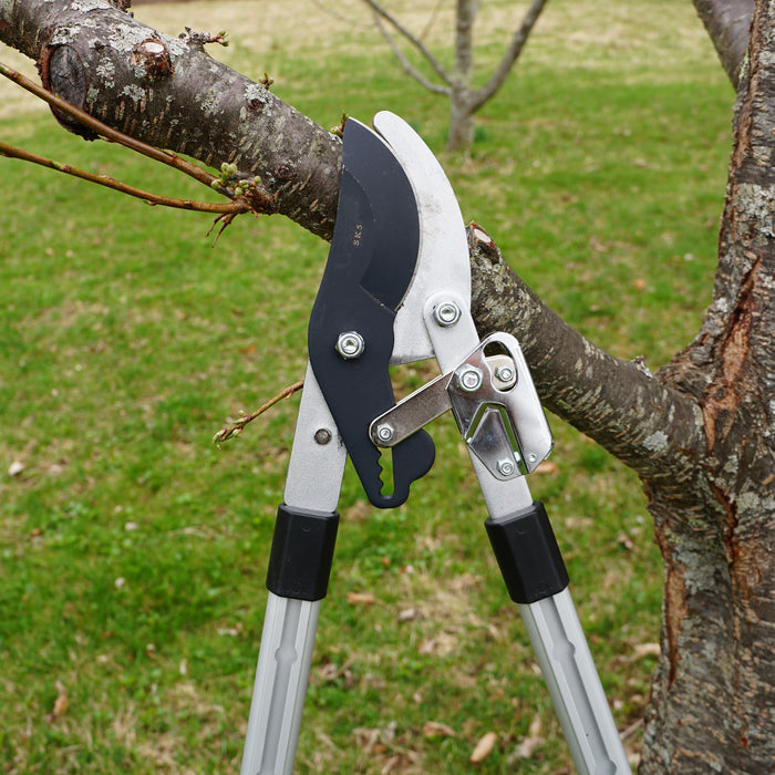 Heavy Duty Bypass Lopper