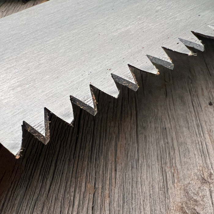 Japanese Log saw teeth