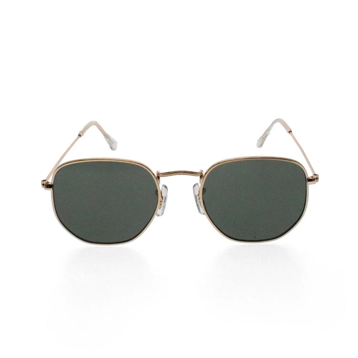 Katori Sunglasses - Trend - Passport Eyewear