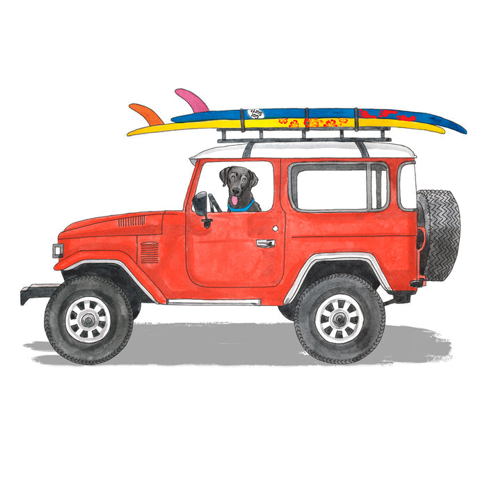 Lab Cruiser