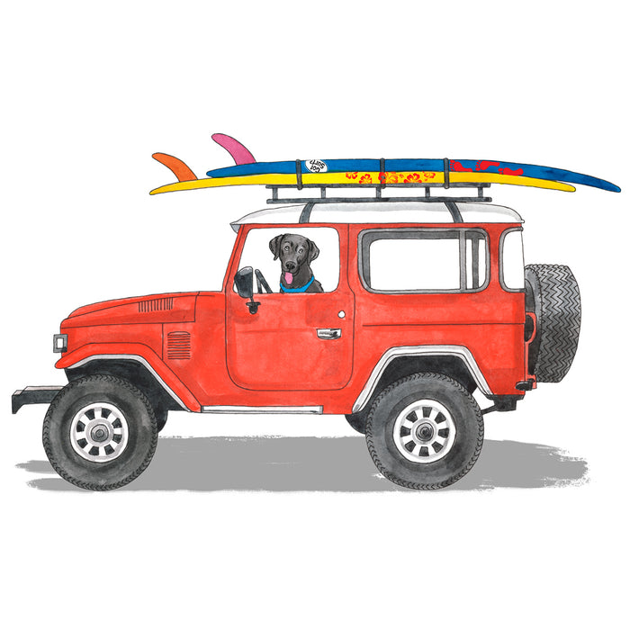 Lab Cruiser