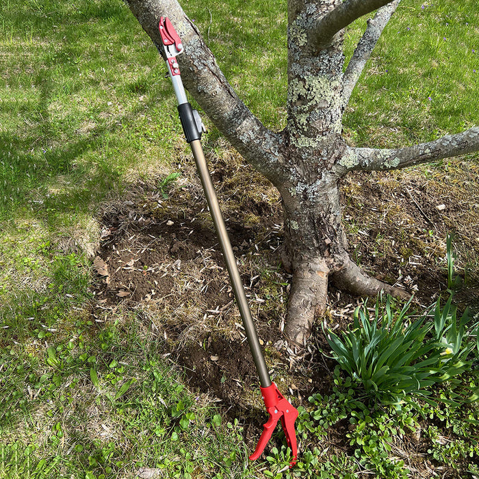 Long Reach Pruner (Extends to 1.5 meters)