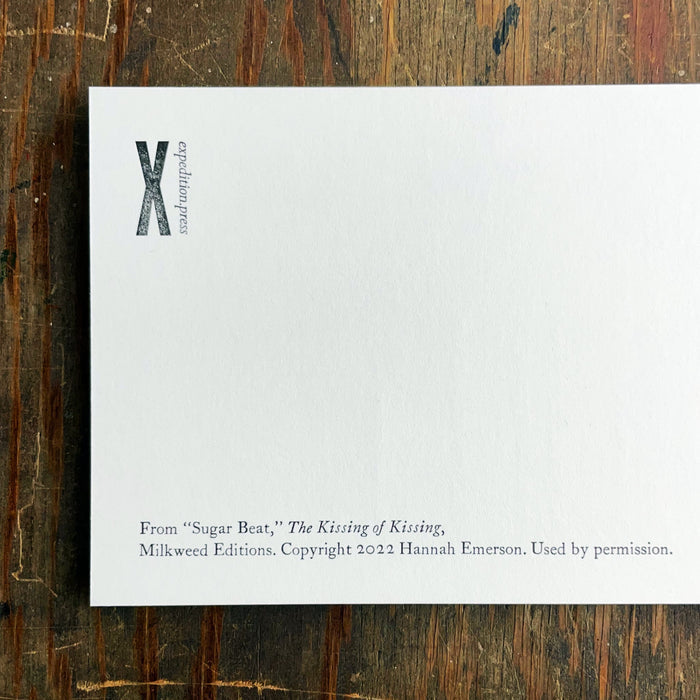Look to the Nothing notecard