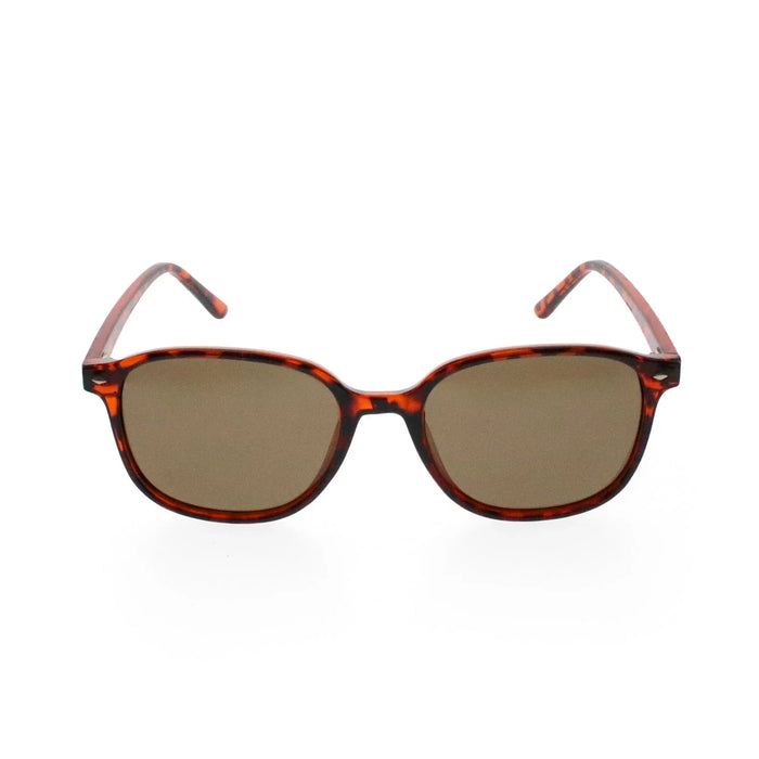 Maywood Polarised Sunglasses - Polarised Sunglasses - Passport Eyewear