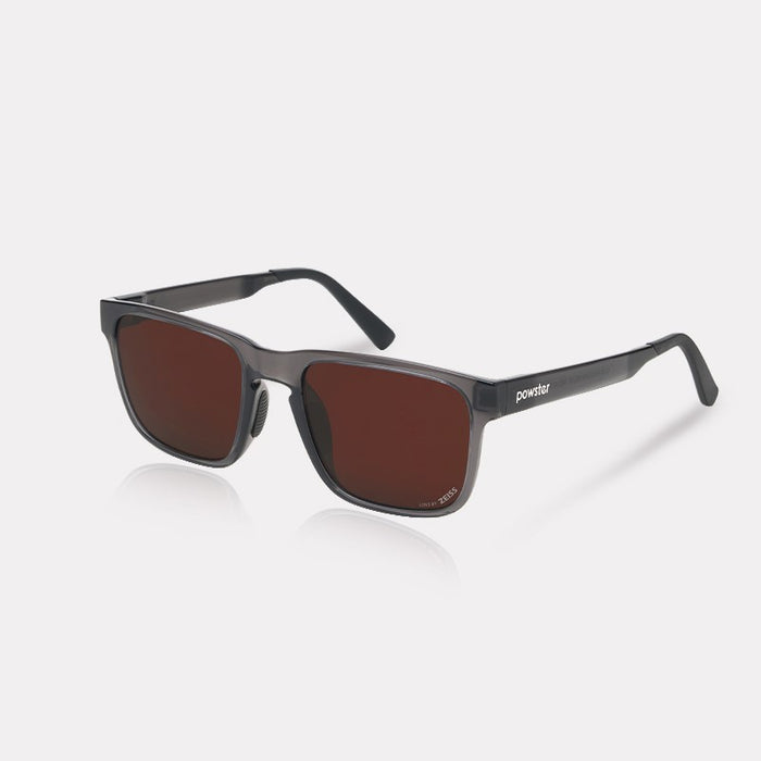 Zeiss Brown Lenses (Transparent Dark Gray Frame)