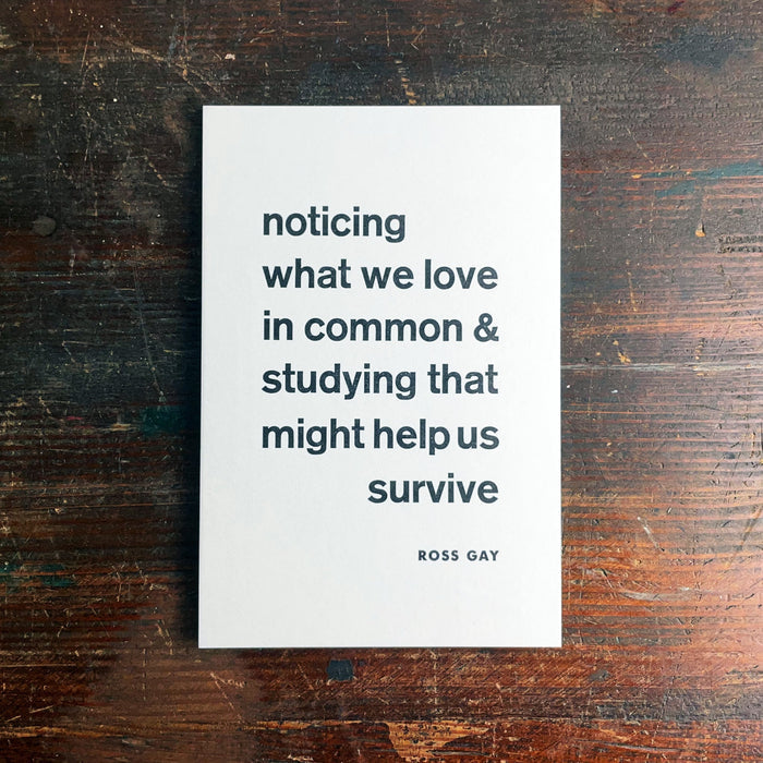 Noticing notecard