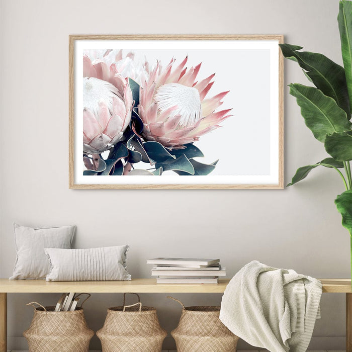 Protea Flowers Wall Art Print from our Australian Made Framed Wall Art, Prints & Posters collection by Profile Australia