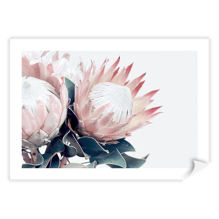 A4 (21 x 29.7cm) / Print Only / White Border
