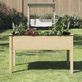 Raised Garden Bed