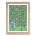 A4 (21 x 29.7cm) / Natural Oak Frame / White Border