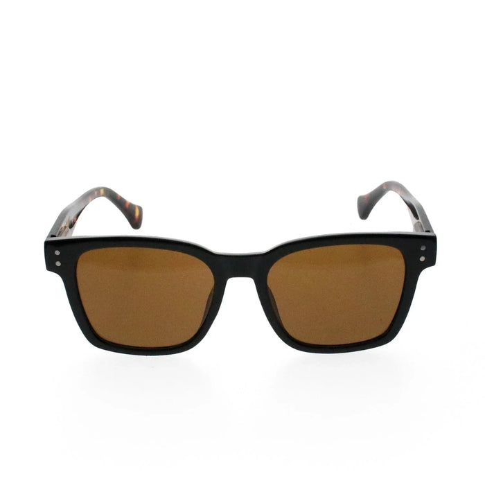Santa Ana Sunglasses - Trend - Passport Eyewear