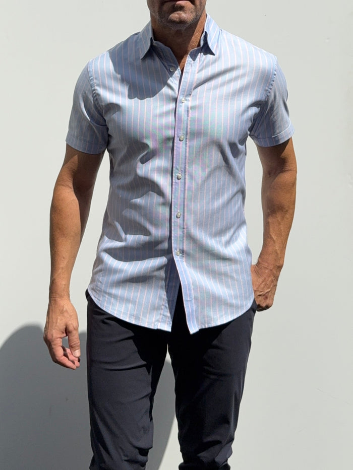 Short Sleeve Striped Oxford - Light Blue Pink Stripe