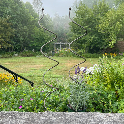 Spiral Plant Support