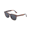 Springfield Sunglasses