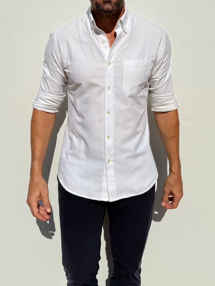 The Striped OCBD - Silver Pinstripe