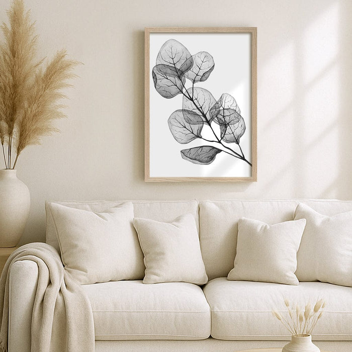 Transparent Eucalyptus Silver Dollar Leaves Wall Art Print from our Australian Made Framed Wall Art, Prints & Posters collection by Profile Australia