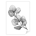 A4 (21 x 29.7cm) / Print Only / White Border