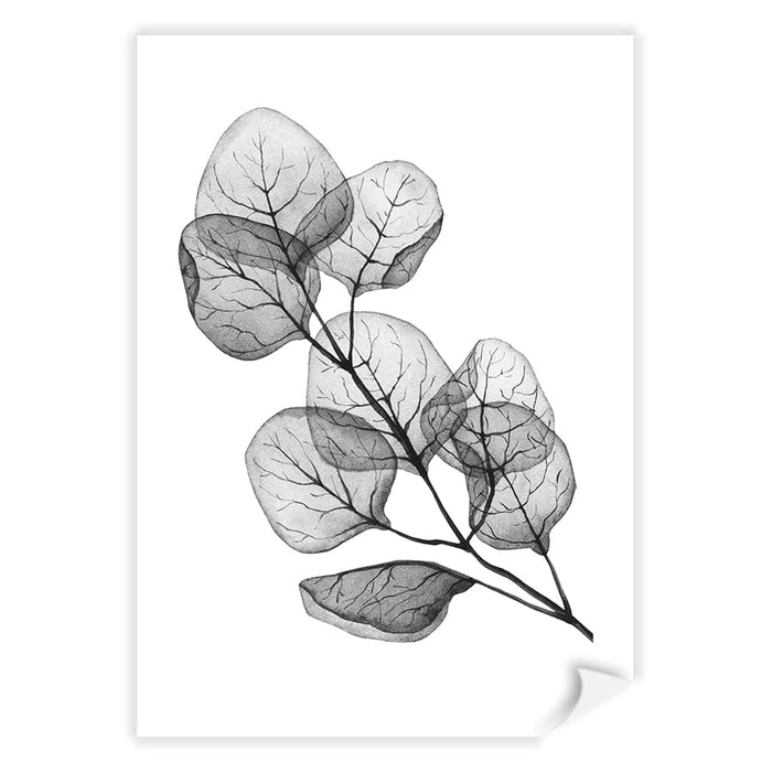 A4 (21 x 29.7cm) / Print Only / White Border