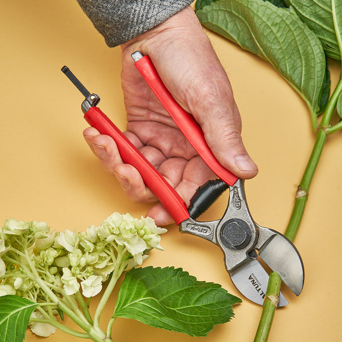 Straight Bladed Anvil Hand Pruner from Spain