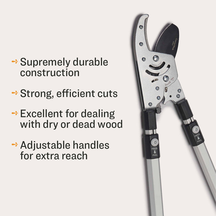 Ultimate Pruning Set