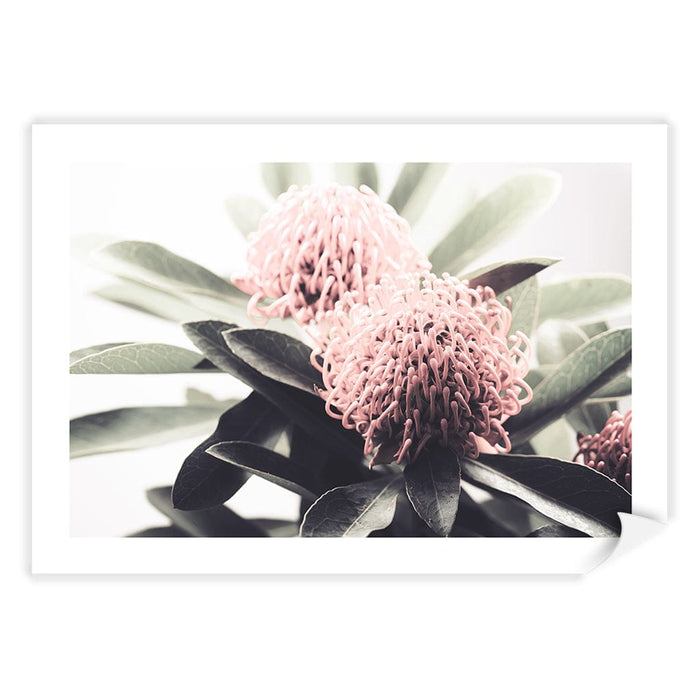 A4 (21 x 29.7cm) / Print Only / White Border