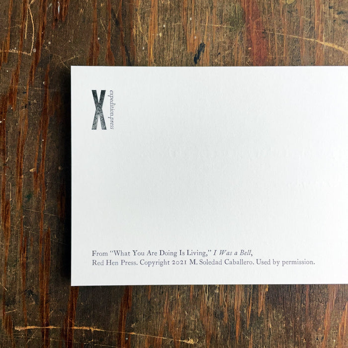 What You Are Doing notecard
