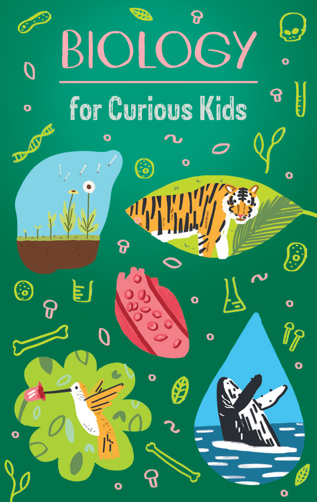Yoto Player + Science for Curious Kids Bundle